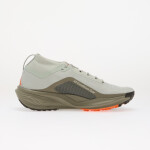 Tenisky Nike ACG Pegasus Trail GORE-TEX Light Silver/ Light Silver/ Light Army EUR 44.5