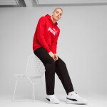 Pánska mikina Puma ESS No.1 Logo Hoodie FL M 682570 11 L