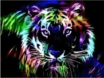 Norimpex Diamantové maľovanie Neónový tiger