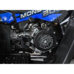 Mamido Detská benzínová štvorkolka RamiGO MONSTER 200CC čierno-modrá