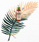 Yves Rocher Koncentrovaný sprchovací gél Kokos