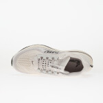 Tenisky Nike Pegasus Premium Run Platinum Tint/ Black-Sail-College Grey-Summit White-Sequoia EUR 44