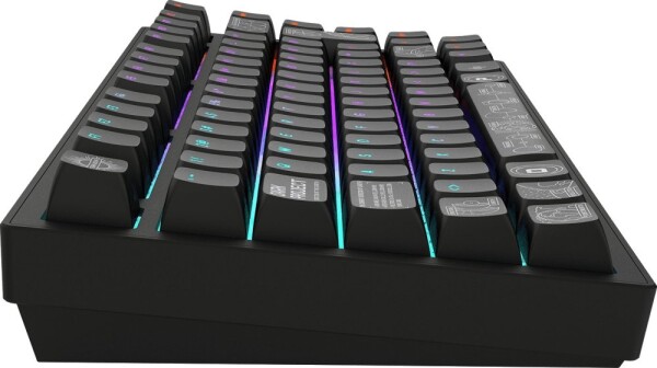 Dark Project ALU81A Terra Nova Black, G3MS Moonstone Switch UK/DE ISO