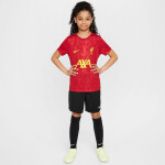 Tričko Nike Liverpool FC Academy Pro SS Top Jr FQ0013-688 XL (158-170)