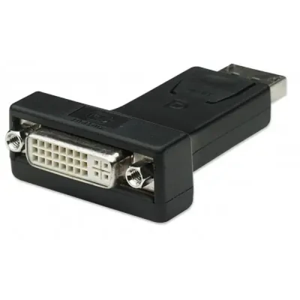 Techly IADAP-DSP-229 Redukcia DVI F - DisplayPort M (IADAP-DSP-229)