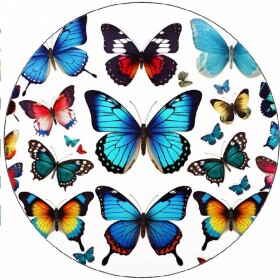 Jedlý papier farebné motýle 19,5 cm - Pictu Hap