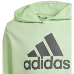 Mikina adidas Big Logo Hoodie Jr IS2591 cm