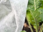 Netkaná zakrývacia textília proti mrazu biela – Agrospeed N 17 g/m² 1,6×50 m [80 m²]