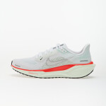 Tenisky Nike Air Zoom Pegasus 41 White/ Mtlc Silver-Barely Green-Brt Crimson-Black EUR 41