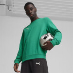Pánska mikina Puma Team Goal Casuals Crew Neck M 658592 03 XL