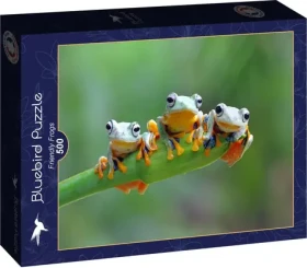 BlueBird Puzzle Kamarátske žabky