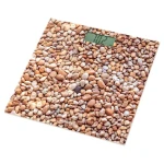 Sencor SBS 2302SN s kamienkami / Osobná váha / Tvrdené sklo / LCD / 150 kg / kg/lb / 1x CR2032 (8590669220168)