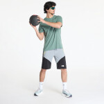 Tričko The North Face 24/7 Shortsleeve Ma Graphic T-Shirt Duck Green Heather L