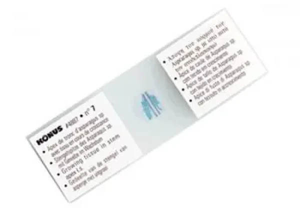 Kónus Sada mikroskopických vzoriek - tkaniva ľudského tela 10ks (4910)