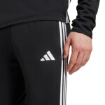 Nohavice adidas Tiro 25 Essentials Winterized M JN9470 XL