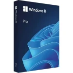 MS Windows 11 Professional FPP 64-bit Eng Intl / Operačný systém / USB disk pre 64-bit / angličtina (HAV-00163)