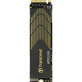 Transcend M.2 2280 PCIe (TS2TMTE250S)