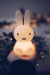 Mr Maria Detská králičia LED lampička Miffy Bundle of Light