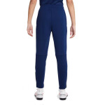 Pánske juniorské zimné nohavice Nike Therma Fit Academy Warrior DC9158-492 cm)