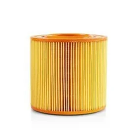 Nedis Filter do vysávača / Vhodné pre: Allaway / A/C-Series / Motorový filter (VCFI210ALL)