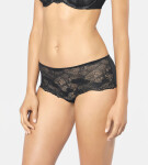 Nohavičky Lace Spotlight Bandeau Brief Triumph 0036