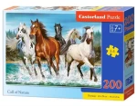 Castorland 222056 Volanie prirody