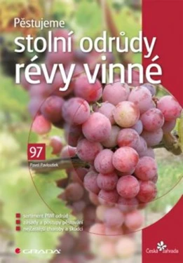 Pěstujeme stolní odrůdy révy vinné, Pavloušek Pavel