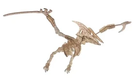 Woodcraft Drevené 3D puzzle Pterosaur