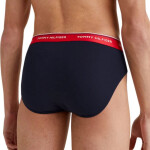 Spodné prádlo Tommy Hilfiger 3P Brief M 1U87903766 S