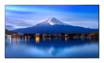 43" NEC P436 čierna / Veľkoformátový displej / UHD 4K / IPS / 700 cd/m2 / 24/7 / 3x HDMI / RJ45 (PNP436)