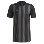 Pánske pruhované tričko 21 JSY GN7625 Adidas