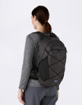 Patagonia Terravia Pack 22L M Black