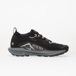 Tenisky Nike W Pegasus Trail 5 Gtx Black/ Wolf Grey-Cool Grey-Anthracite-Reflect Silver EUR 36.5