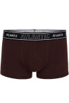 Pánske boxerky 1191 brown Atlantic Hnědá