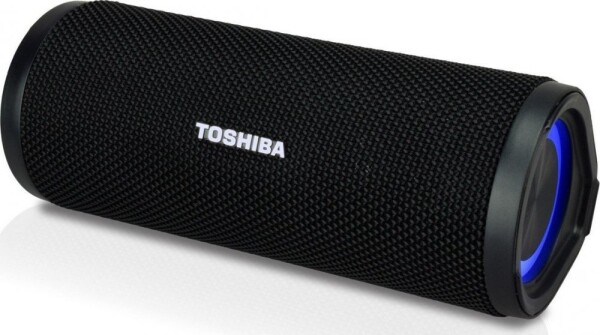 Toshiba TY-WSP102