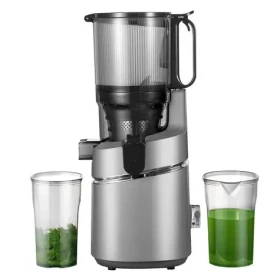 AMZCHEF SJ-036-GA sivá / Pomalý odšťavovač / 250 W / 1,8 l / 3 filtre (SJ-036-GA)