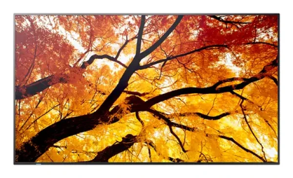 86" NEC M862 čierna / Veľkoformátový displej / IPS / 4K UHD / 550cd/m2 / 24/7 / D-LED (60006058)