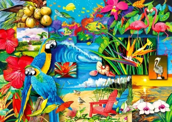 ENJOY Puzzle Tropické poklady