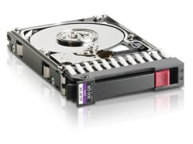 HP 2TB 3.5'' SATA II (3 Gb/s) (507632B21)