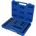 Brilliant Tools BT541900 Sada vyťahovačov skrutiek HSS, 25 ks; BT541900
