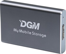 DGM My Mobile Storage 256GB Sivý (MMS256SG)