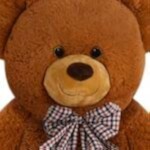 Deuba Hnedý plyšový medveď 50cm so srdcom