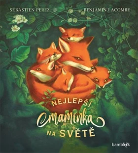 Nejlepší maminka na světě, Perez Sébastien