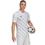 Pánsky dres Entrada 22 Graphic Jersey HF0129 Adidas