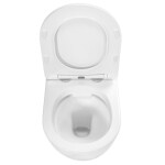 REA - Závesná WC misa vrátane sedátka Carlos Nature Marble REA-C6606