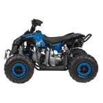 Mamido Detská benzínová štvorkolka RENEGADE HIPERFECT 110CC modrá