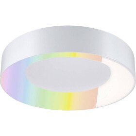 Paulmann 75414 stropné svetlo 20 W biela (matná); 75414