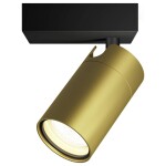 Philips Idris 8720169299177 stropná lampa GU10 zlatá; 8720169299177