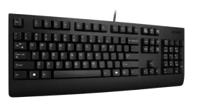 Lenovo Essential čierna / Drôtová klávesnica / CZ layout / numerická klávesnica / USB-A (4Y41R64622)
