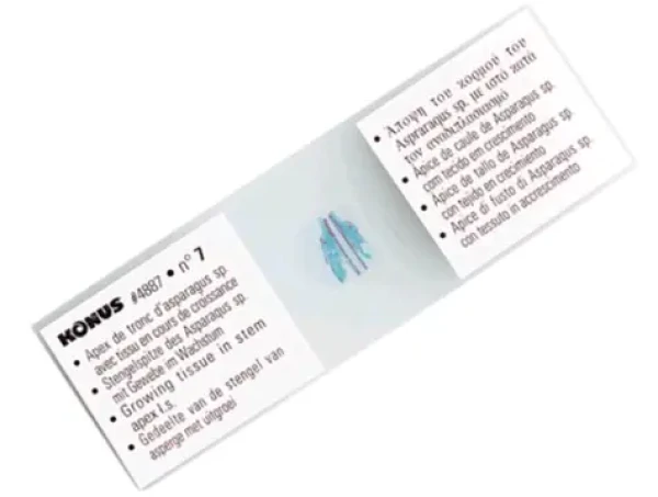 Konus Sada mikroskopických vzoriek - Svet v kvapke vody (10ks) / 10 rôznych snímok (4900)